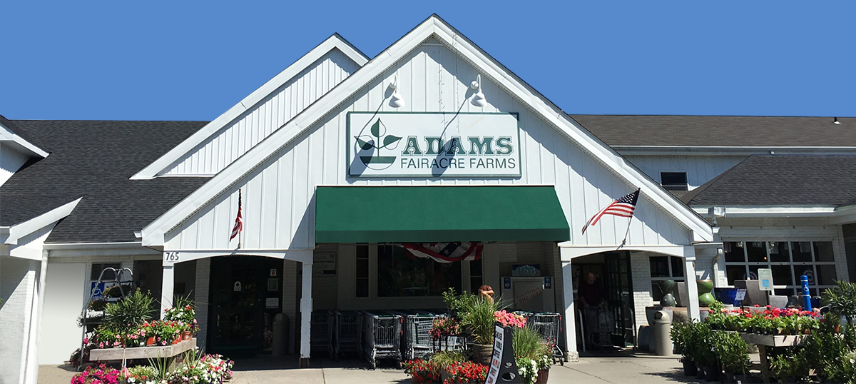 Adams Building